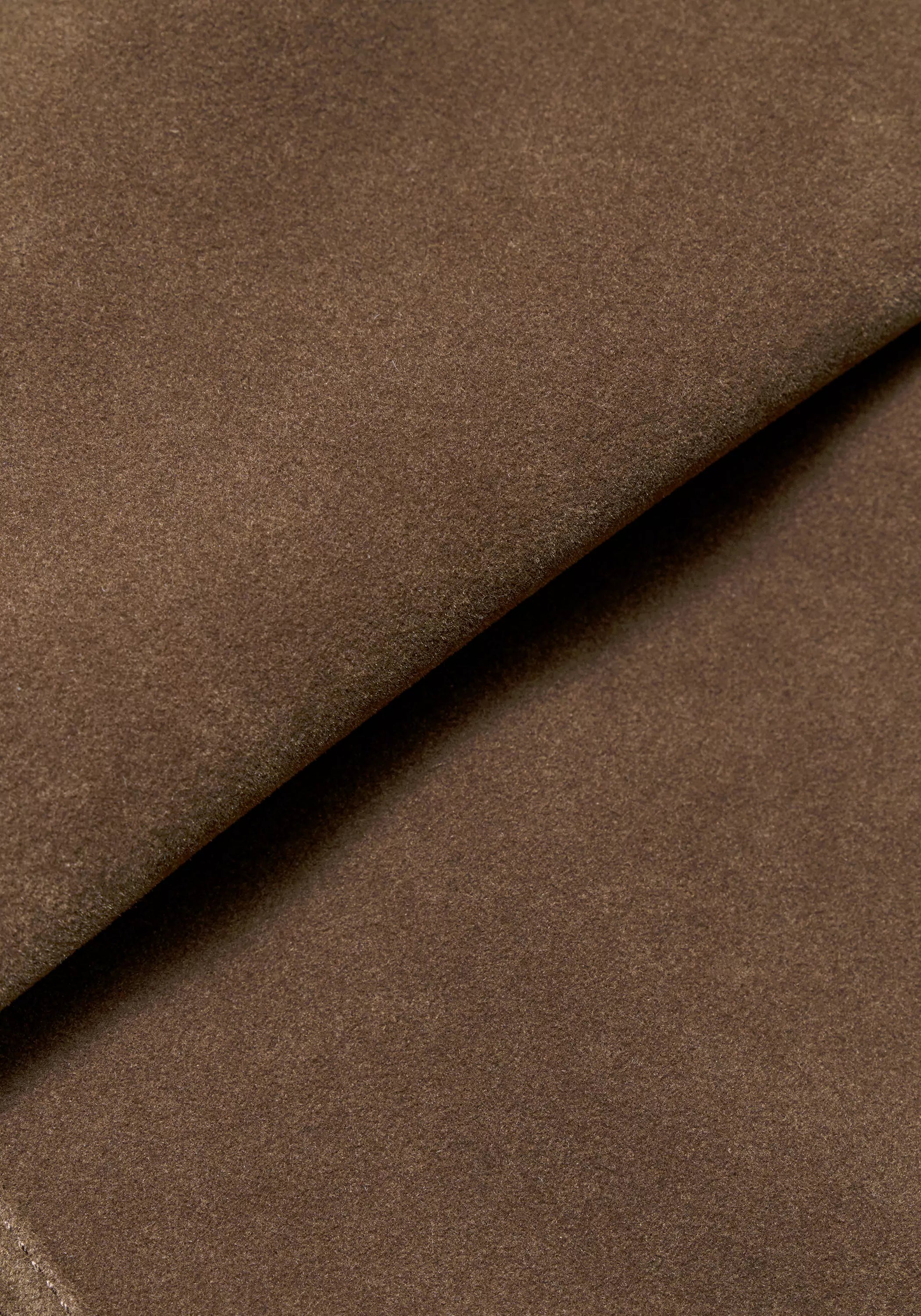 #color_light brown