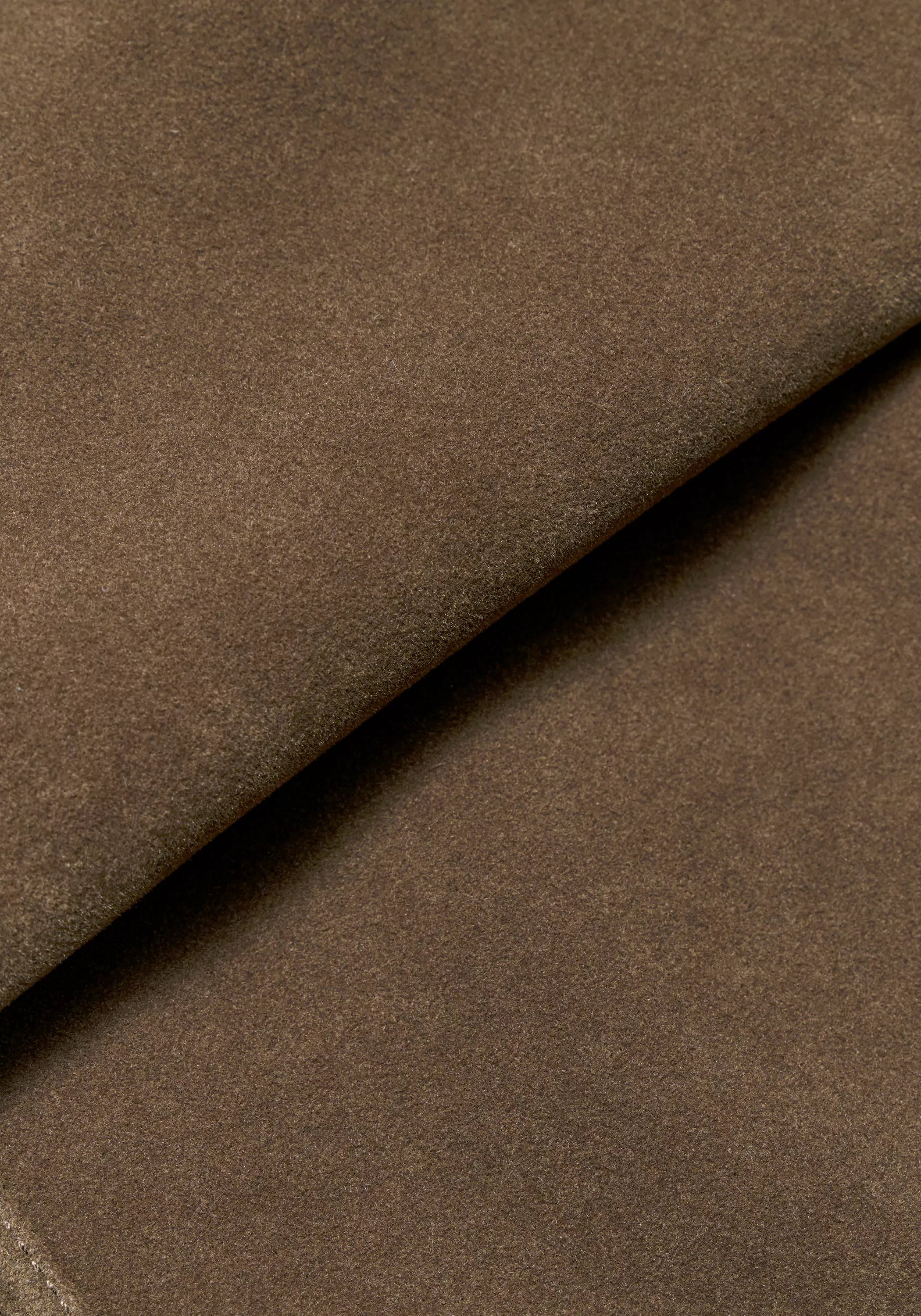 #color_light brown