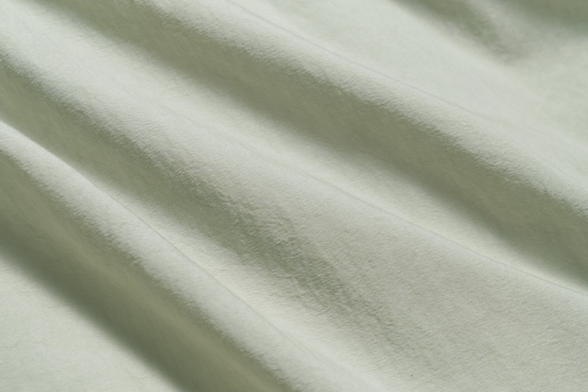 #color_light green