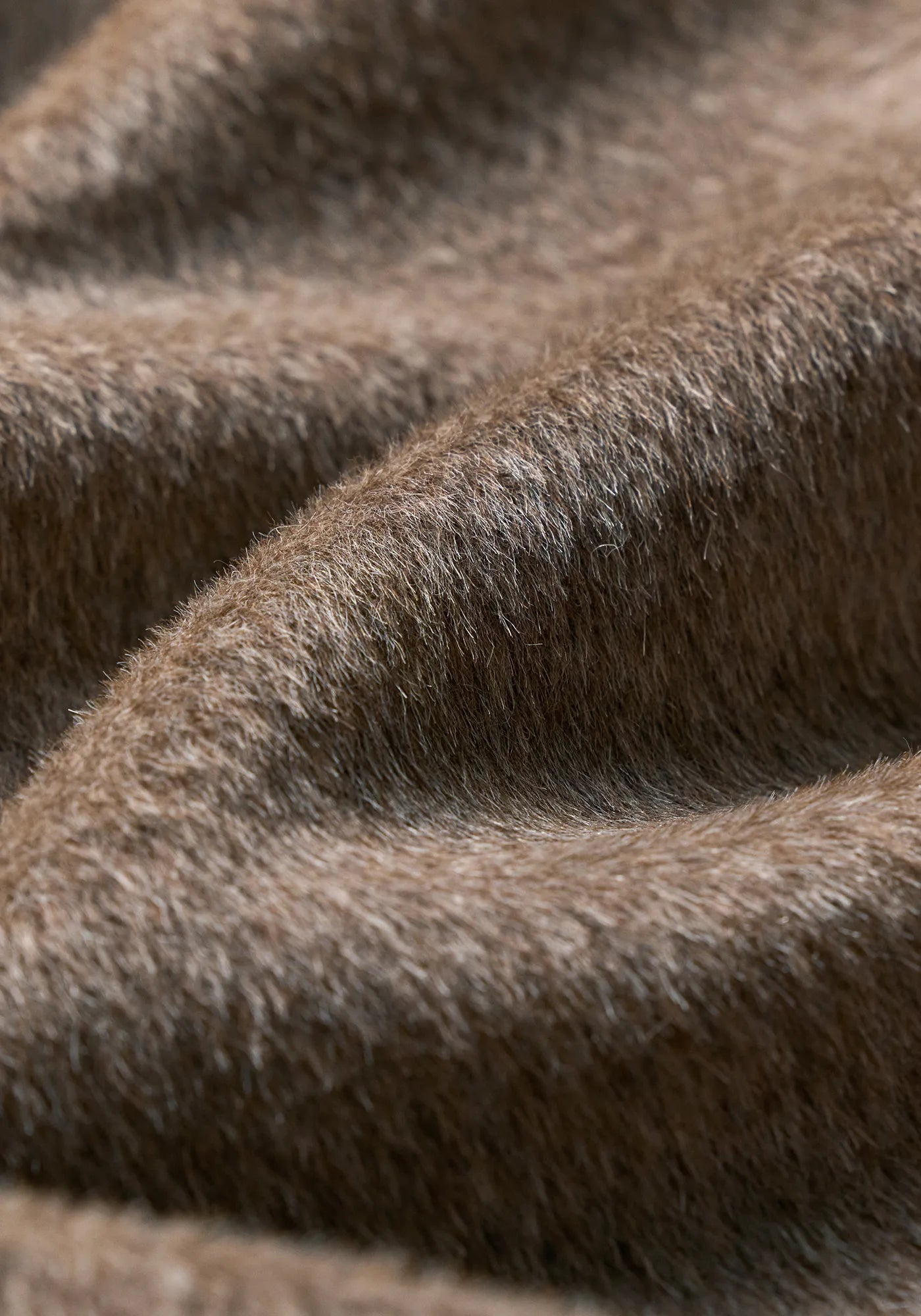 #color_light brown