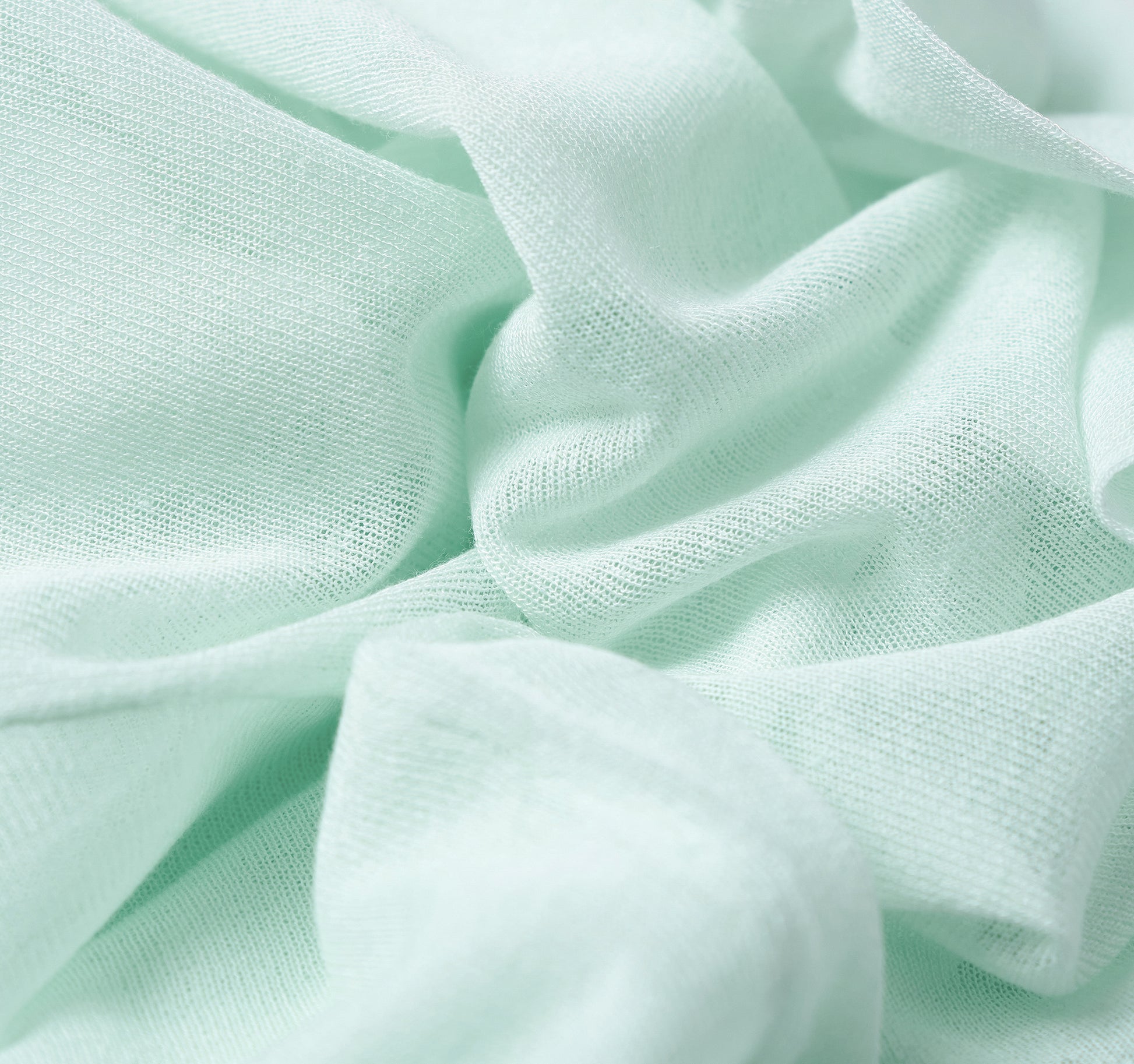 #color_light green