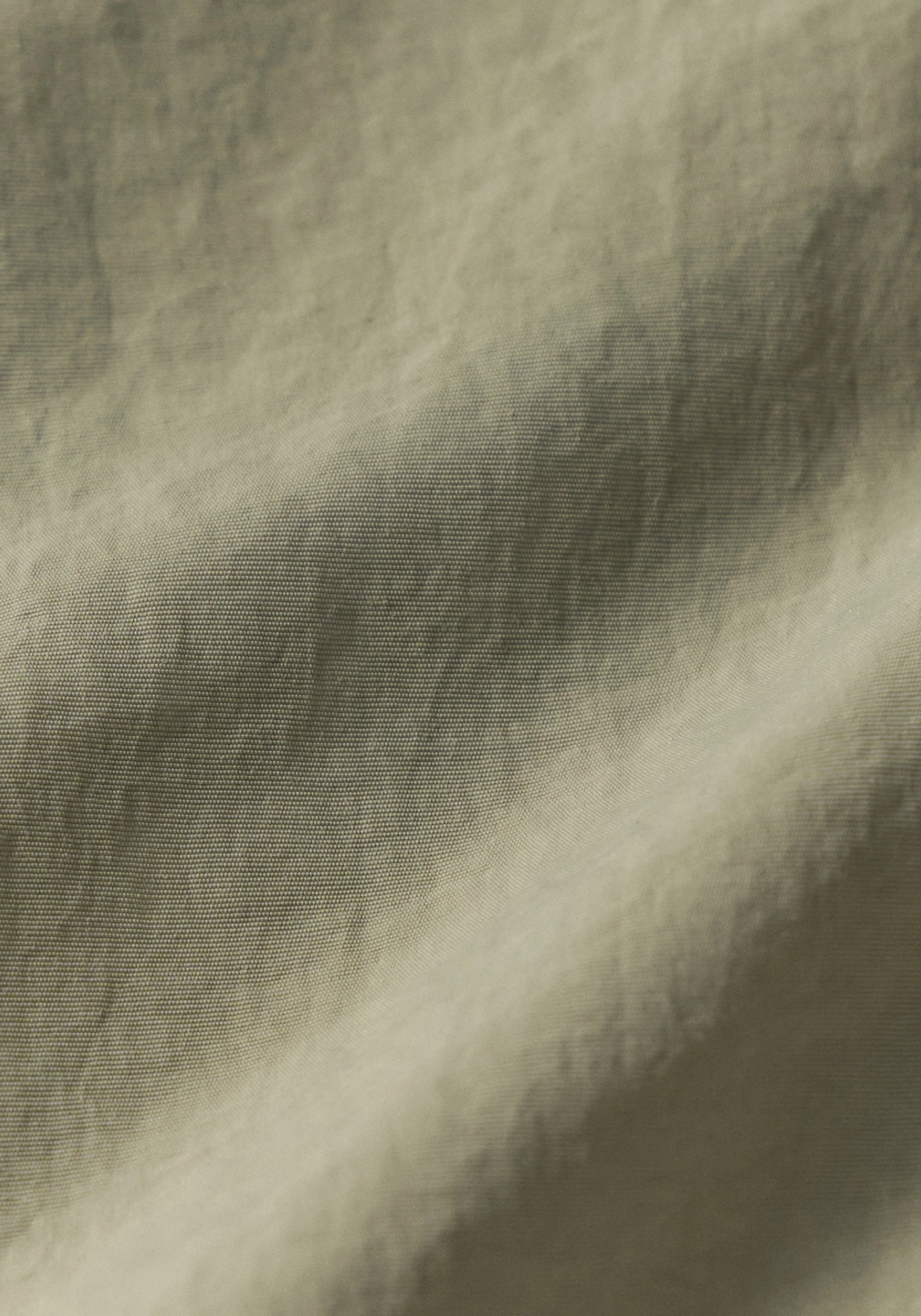 #color_olive