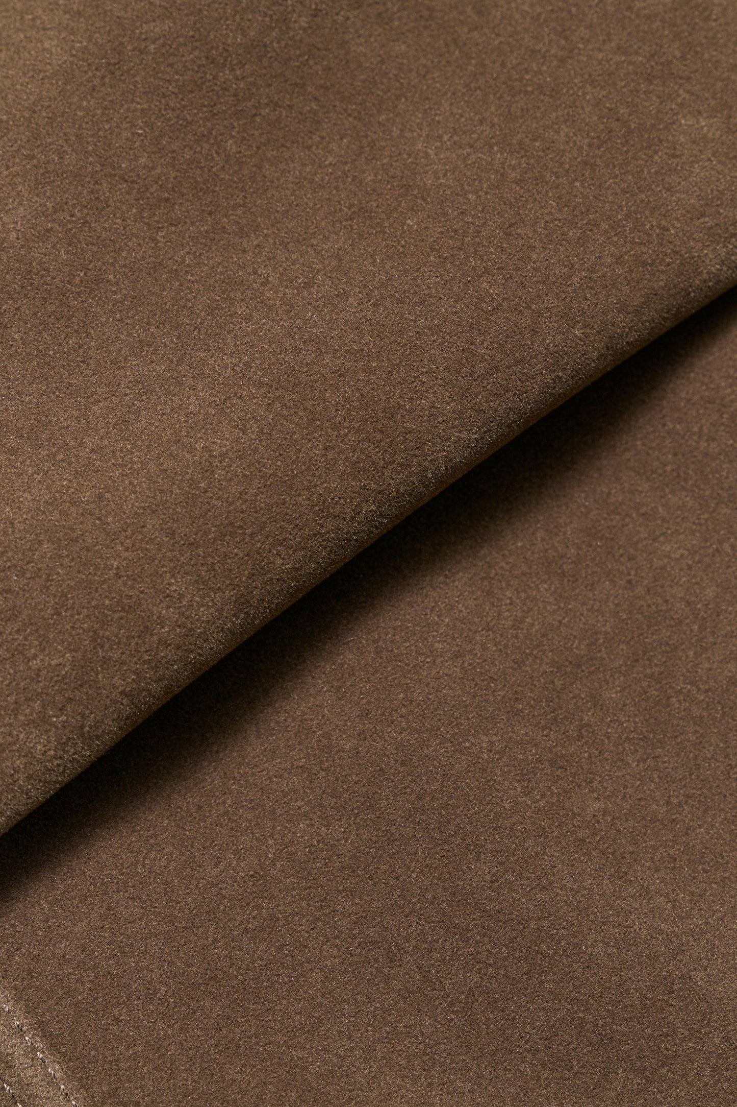 #color_light brown