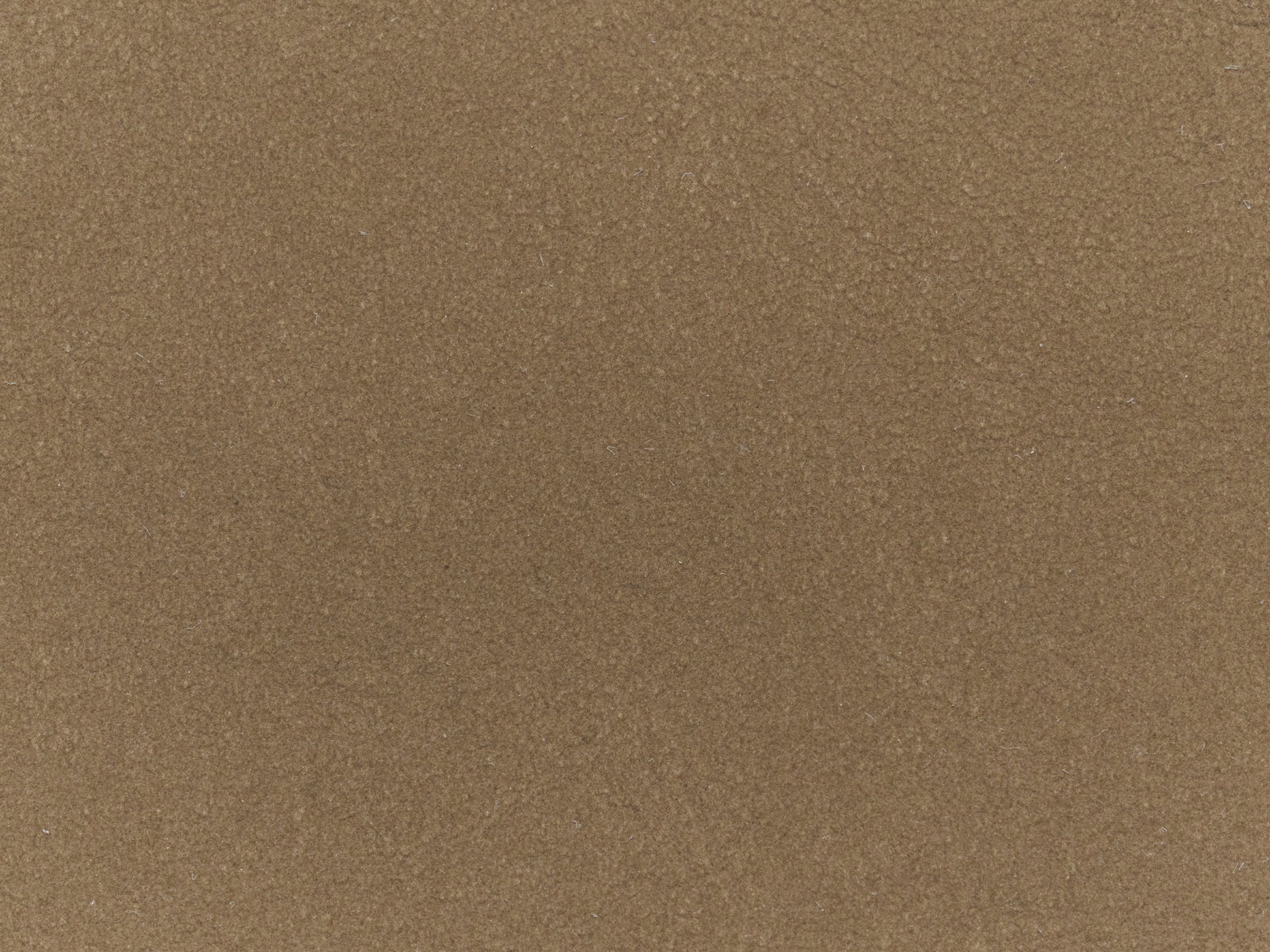 #color_light brown