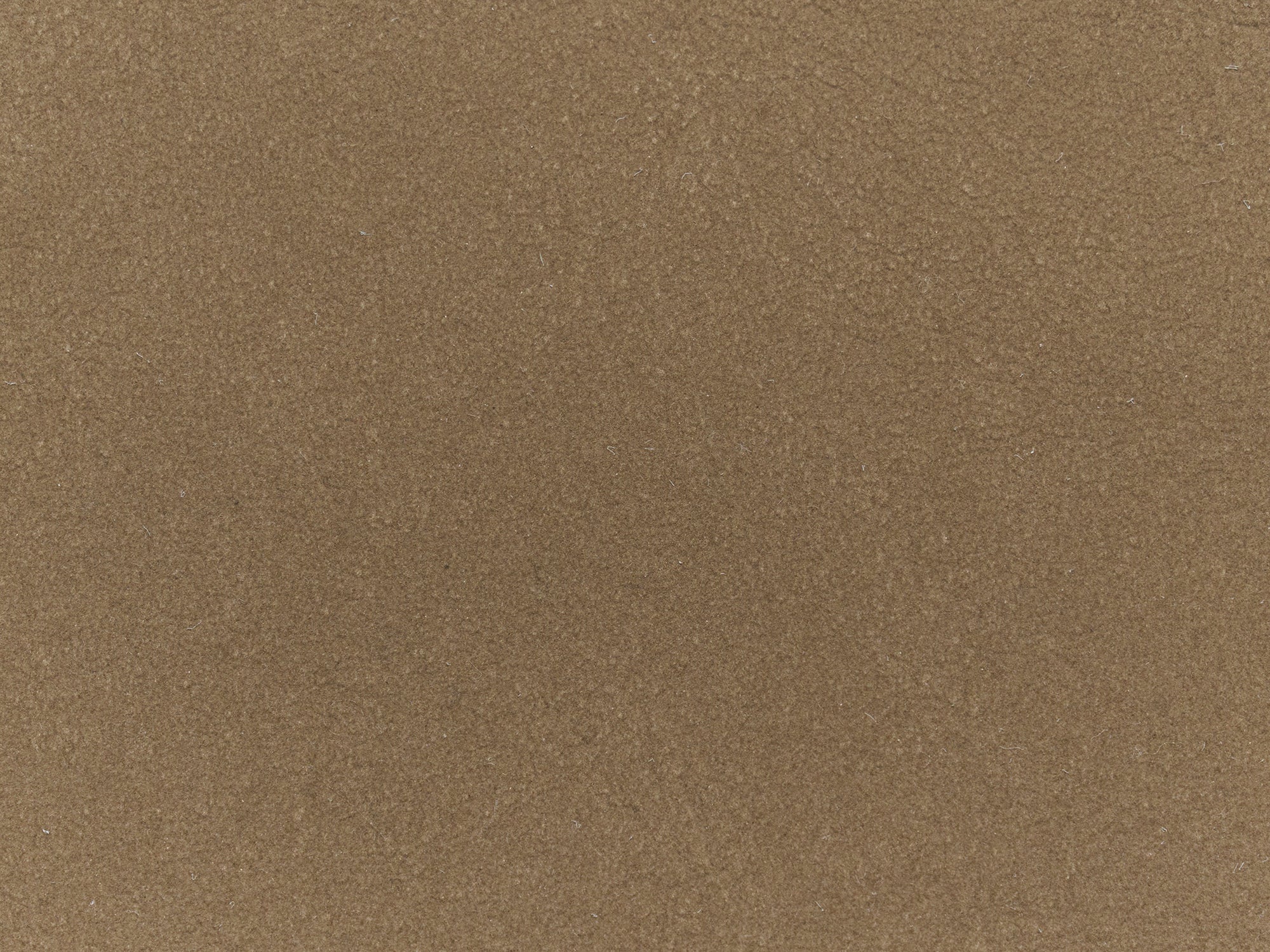 #color_light brown
