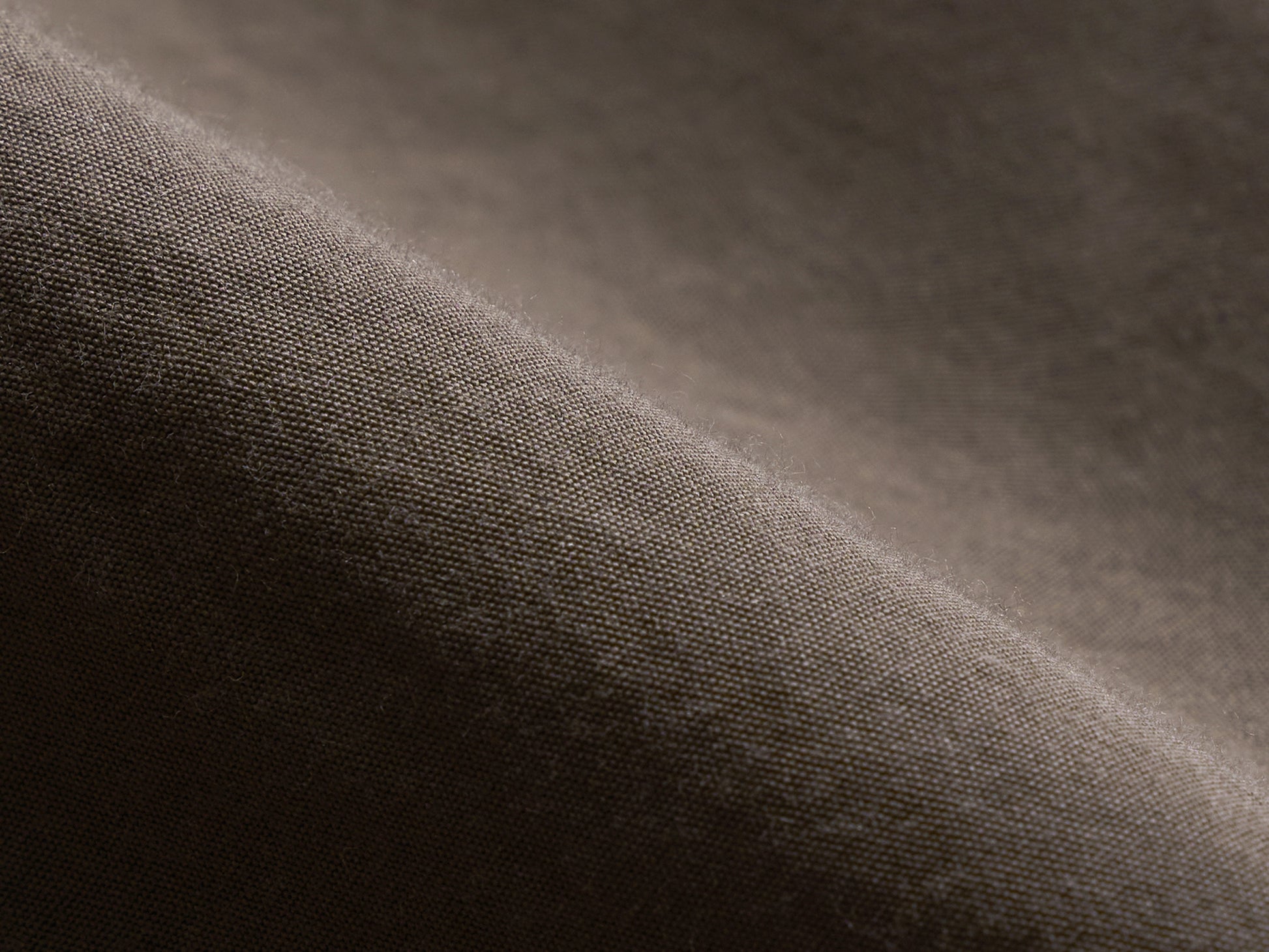 #color_raw umber