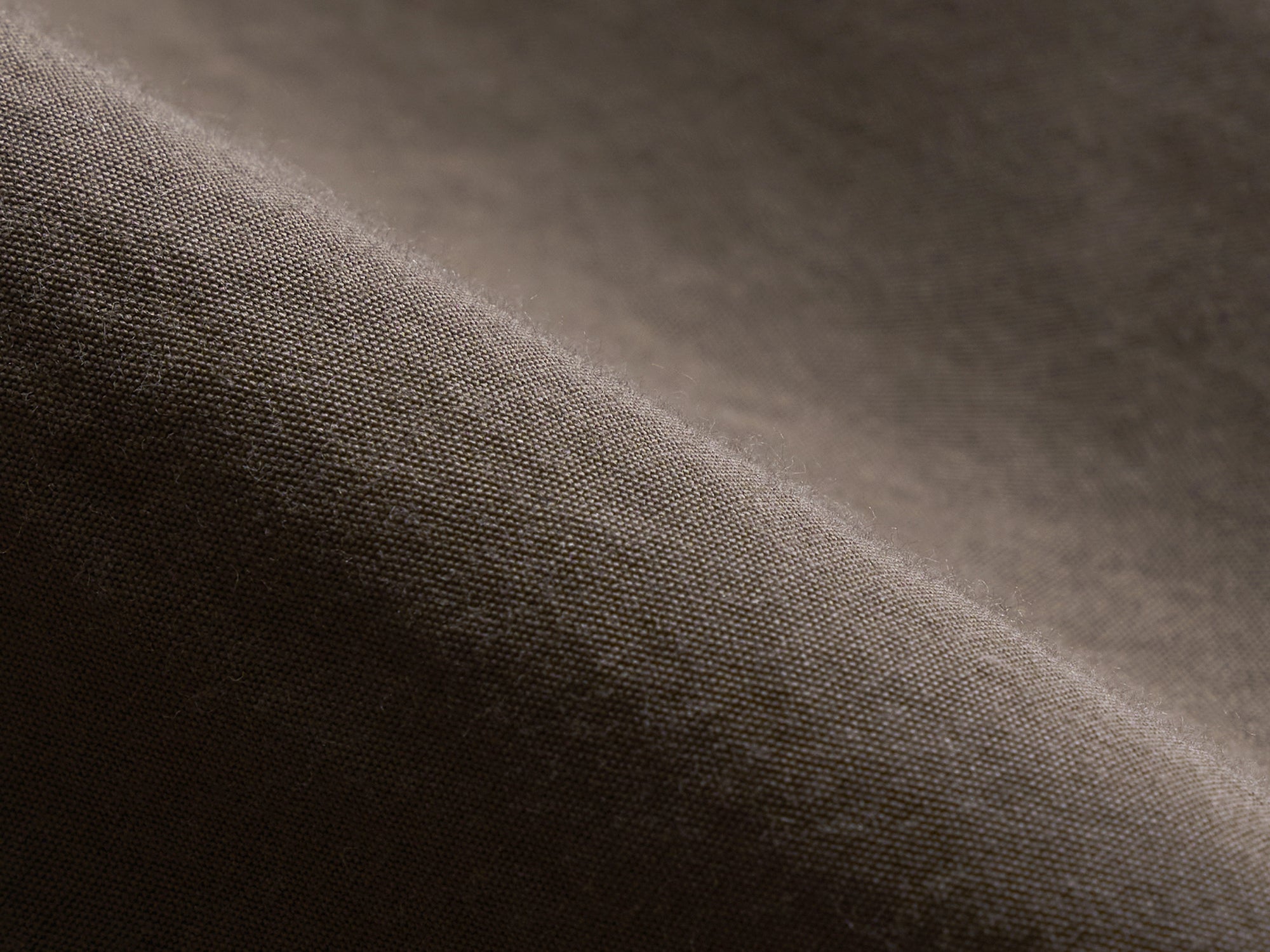 #color_raw umber