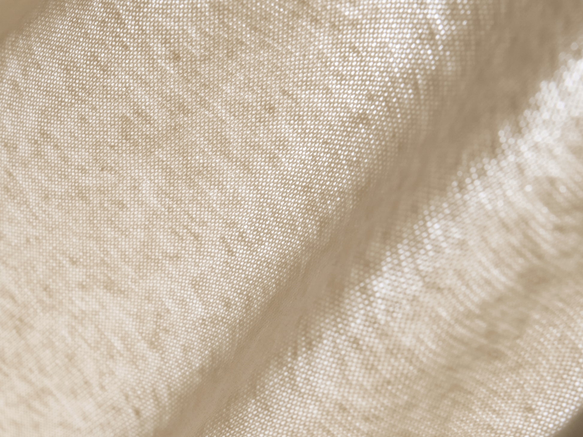 #color_cream white