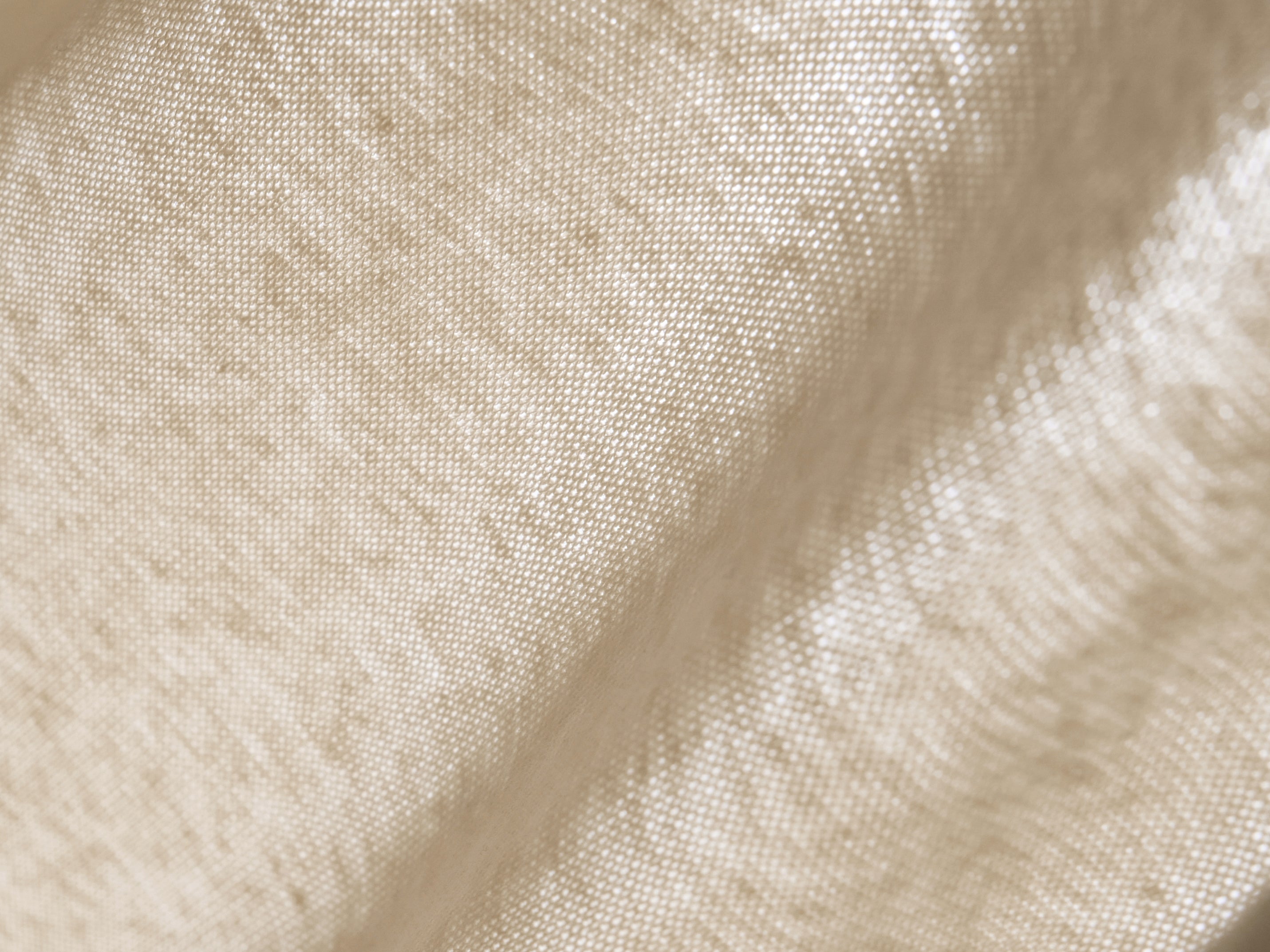 #color_cream white