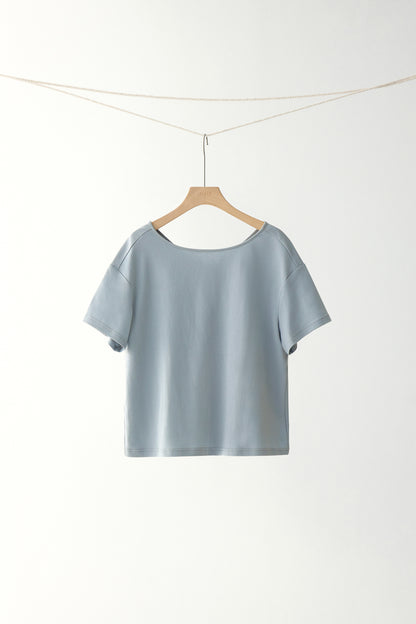 #color_dusty blue