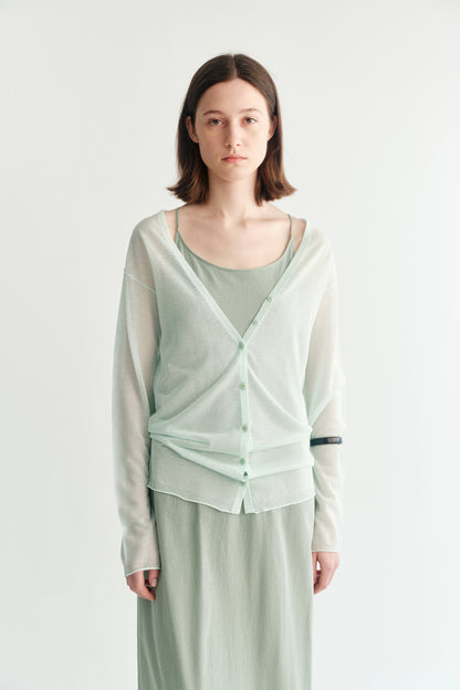 #color_light green
