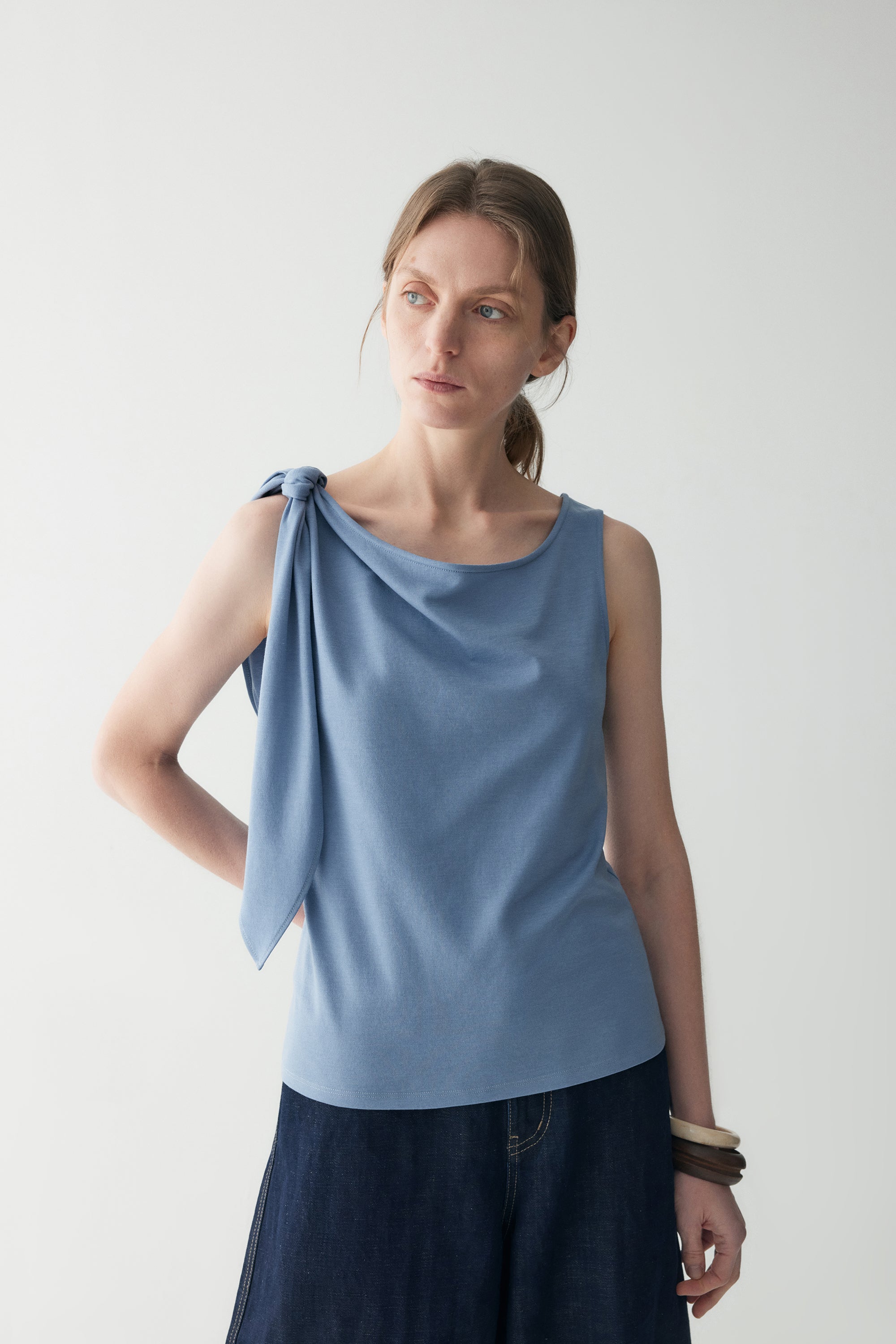 #color_dusty blue