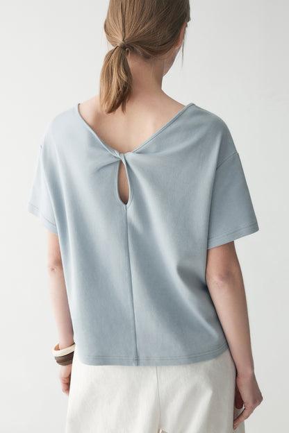 #color_dusty blue