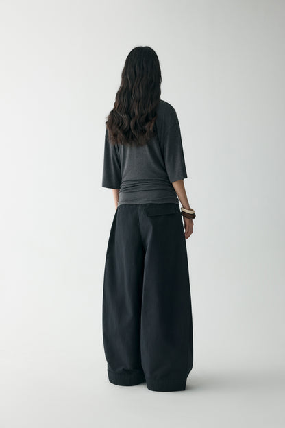#color_black ash