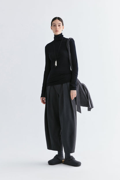#color_black ash